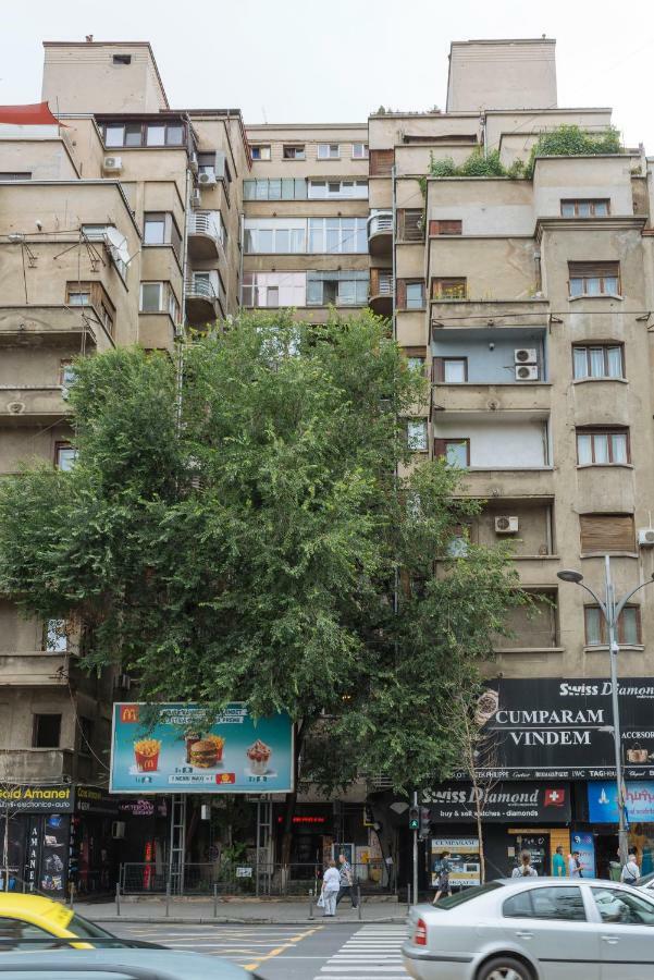 Petite Maison Sur Le Boulevard Букурещ Екстериор снимка